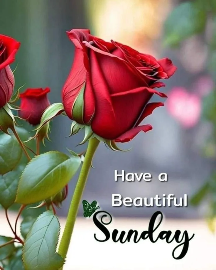 Happy sunday good morning photo (7)