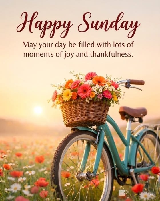 Happy sunday good morning quotes for friends