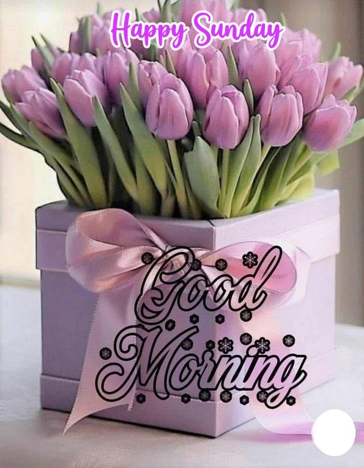 Happy sunday good morning wishes