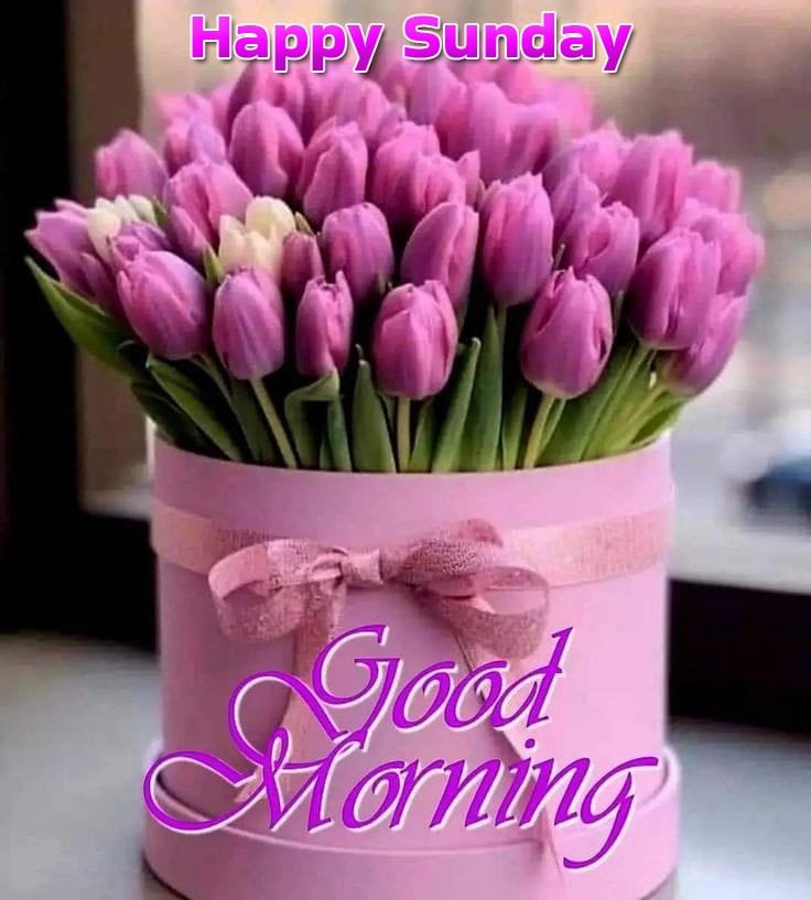 Happy sunday good morning wishes