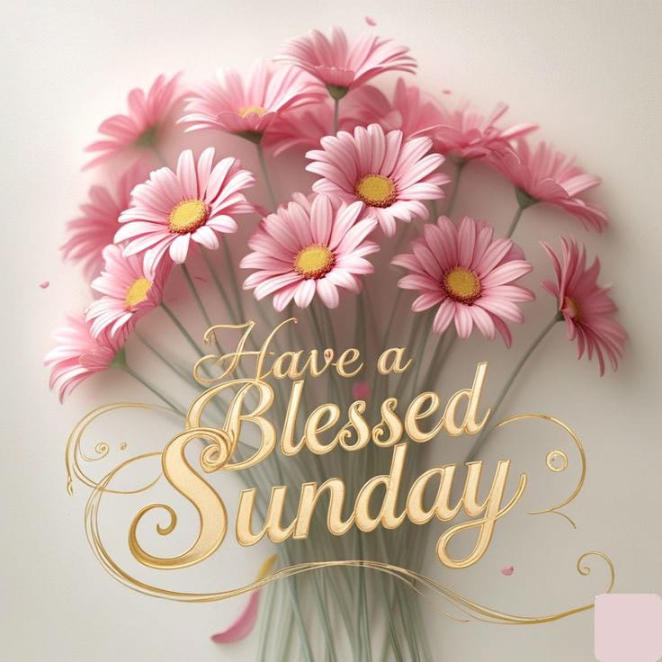 Happy sunday image 13