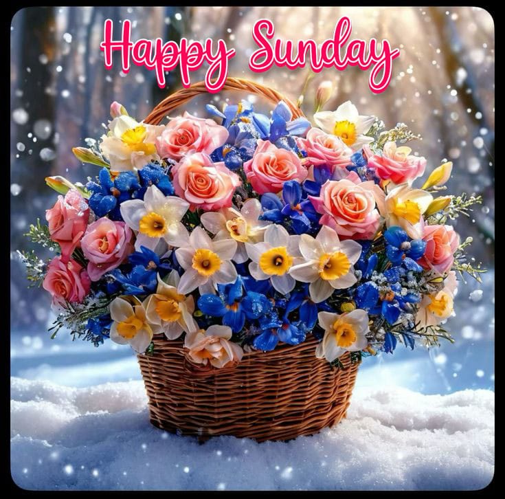 Happy sunday images cold 2