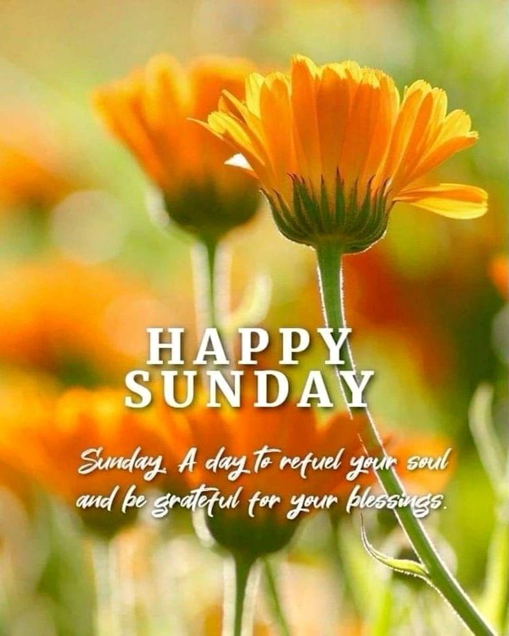 Happy sunday quotes 2