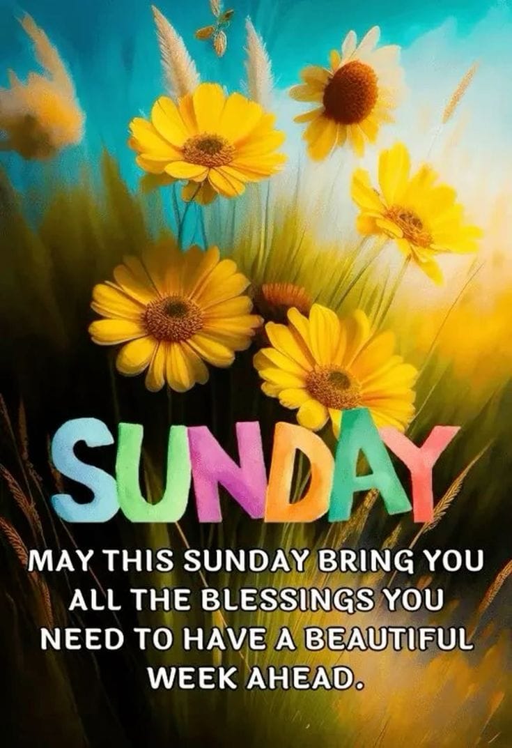 Happy sunday quotes 4