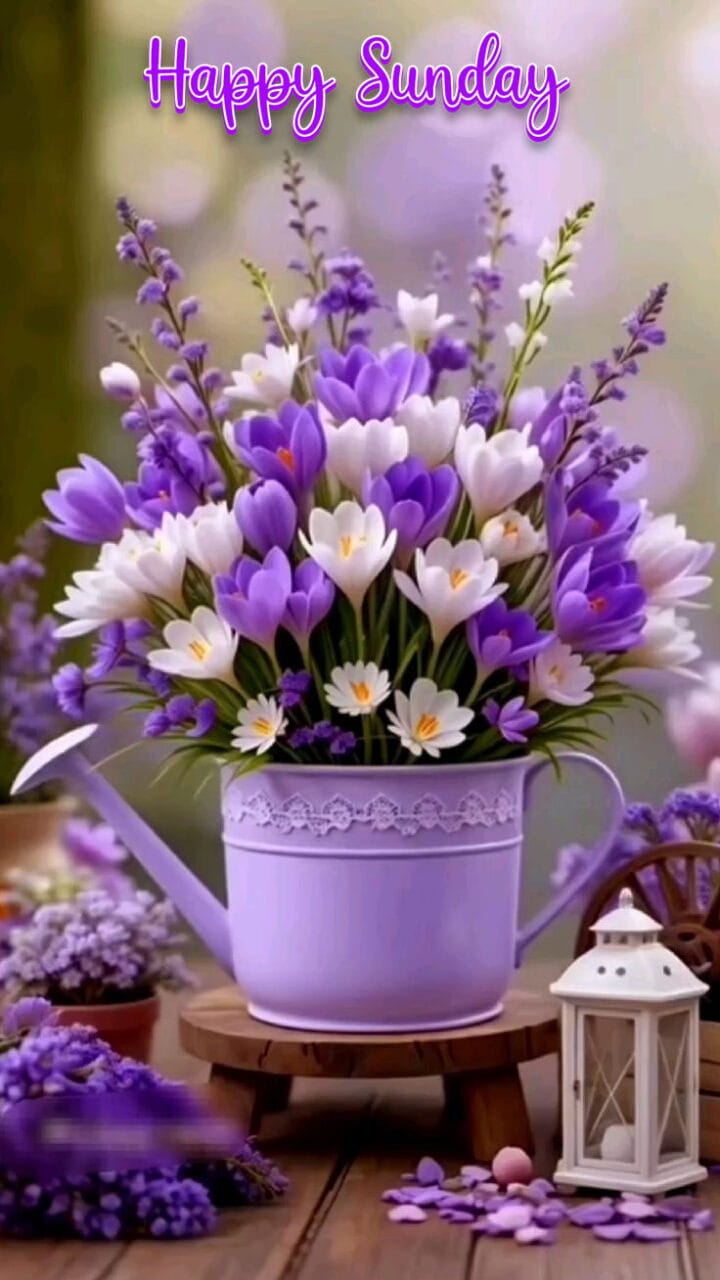 Happy sunday wishes and images