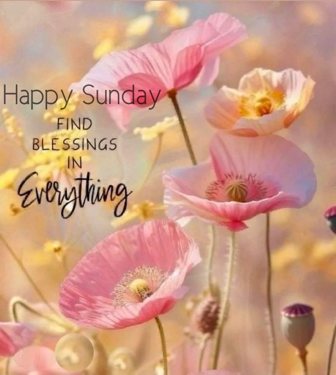 Happy sunday wishes photo