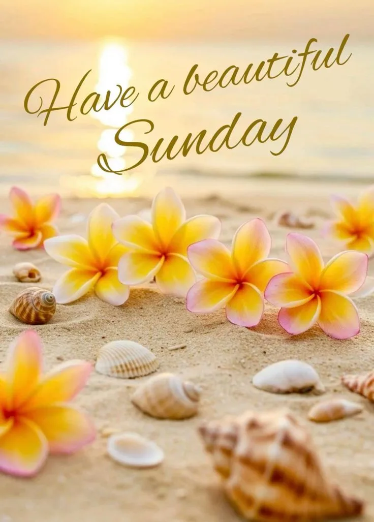 Happy sunday wishes photo