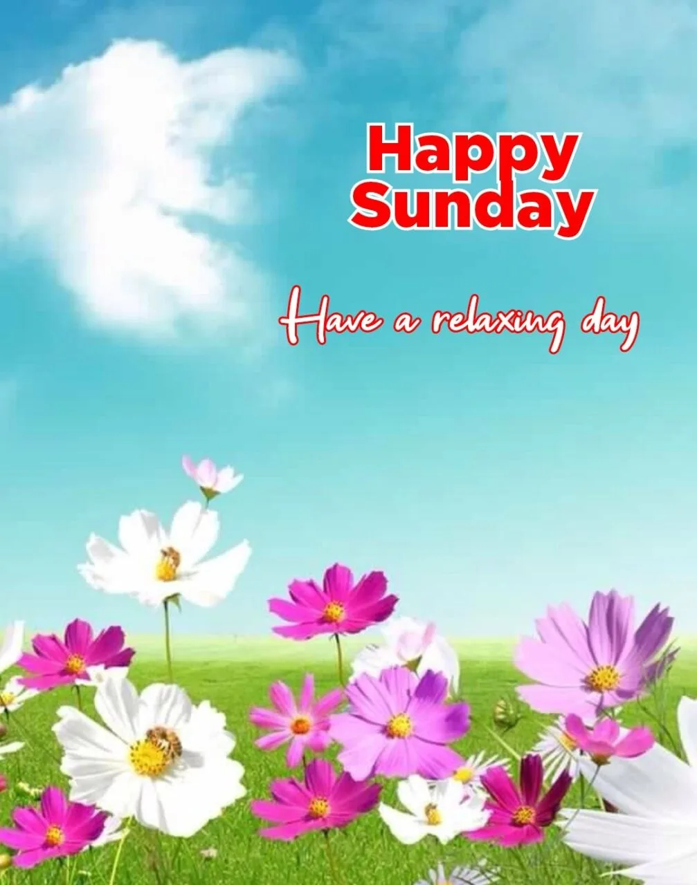 Happy sunday wishes photo