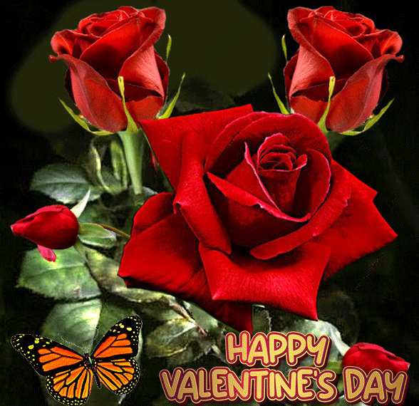 Happy Valentines Day Gif Animated