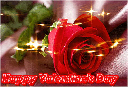 Happy Valentine's Day Roses Gif