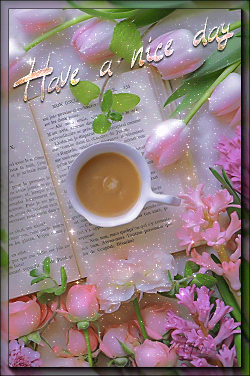 Have a nice day gif for girlfriend