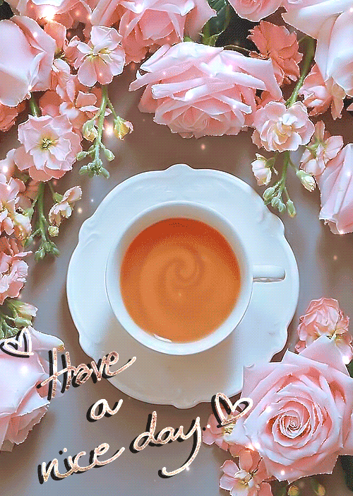 Have A Nice Day Gif For Girlfriend