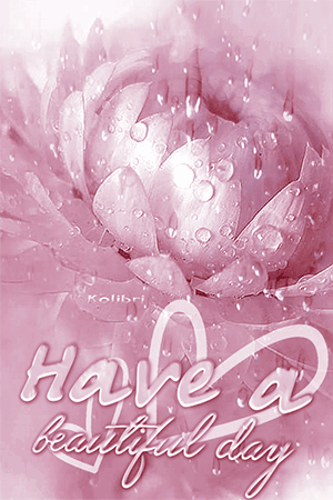 Have A Nice Day Gif