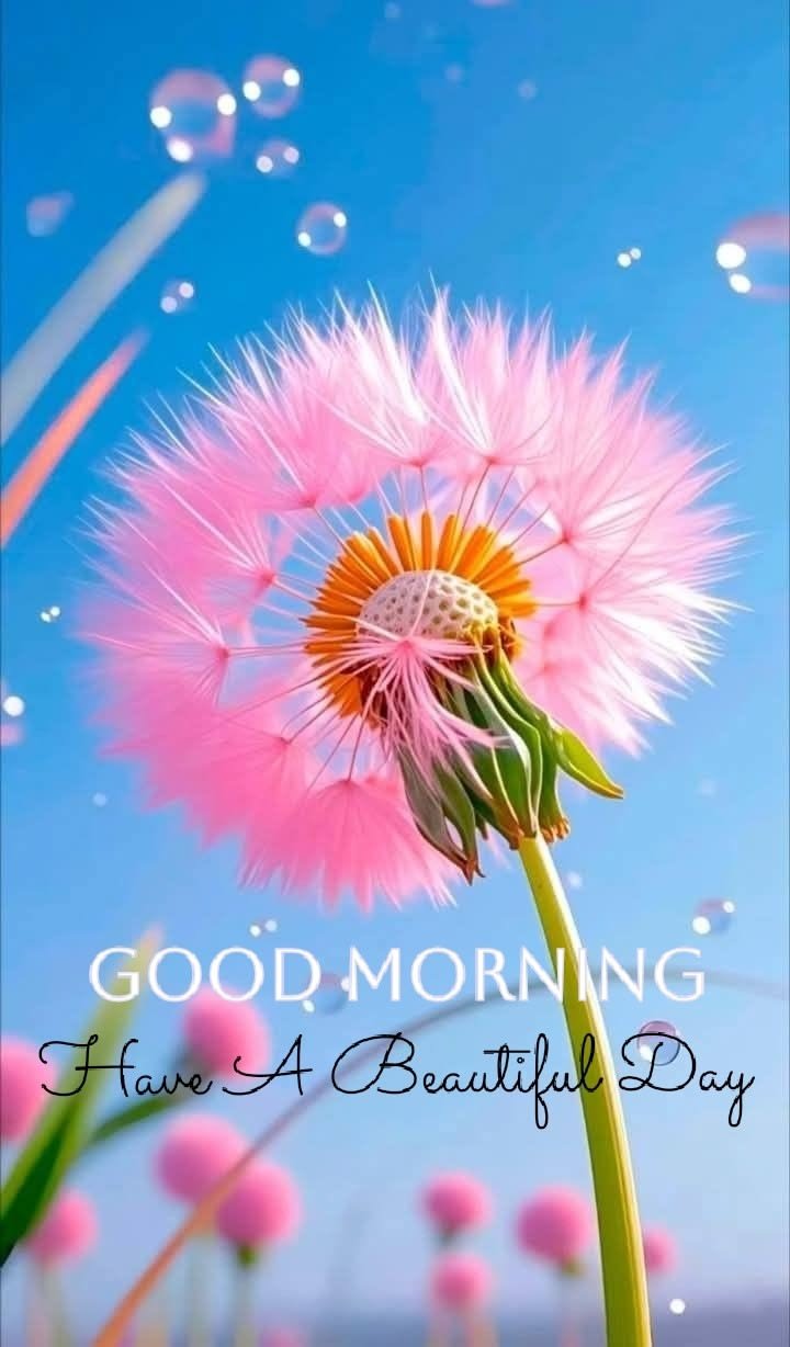 Heart touching good morning love quotes