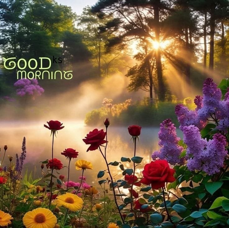 High quality good morning images (2)