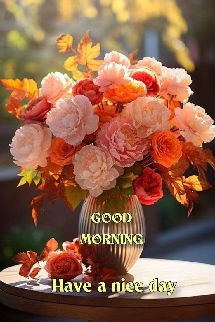 High quality good morning images for whatsapp (14)