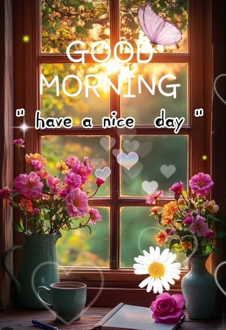 High quality good morning images for whatsapp (4)