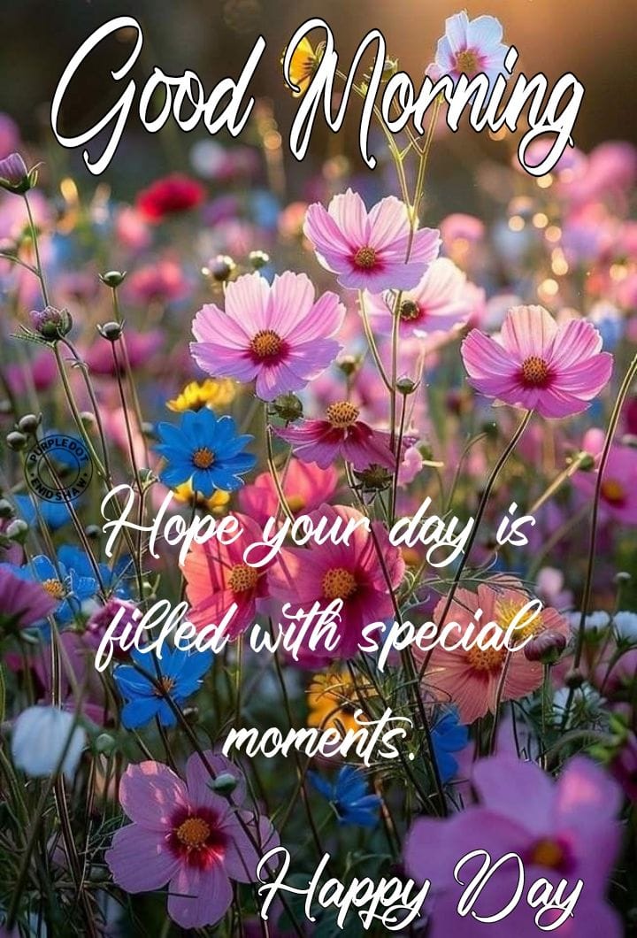 High quality good morning images for whatsapp (5)