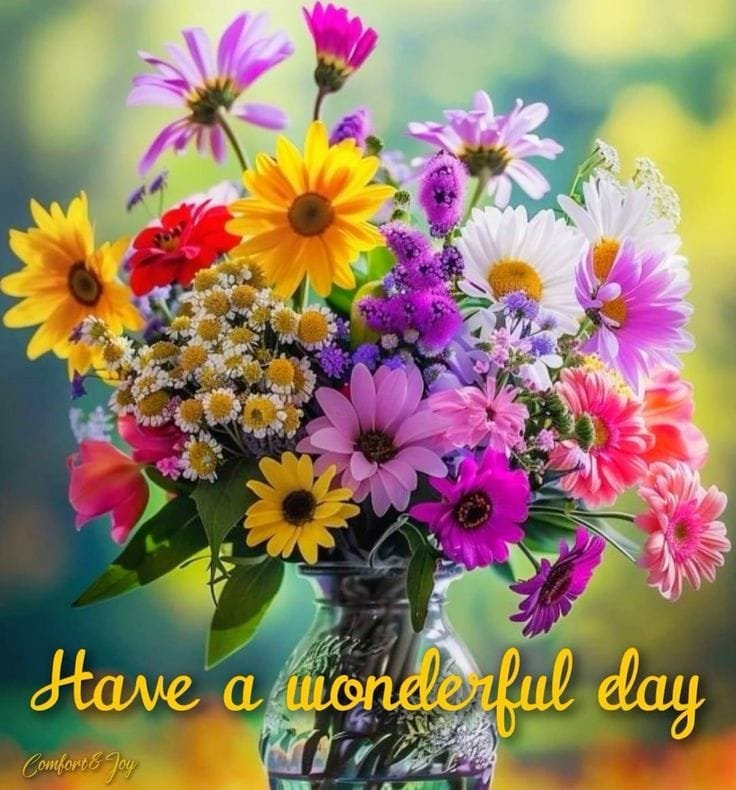 High quality good morning images for whatsapp (9)