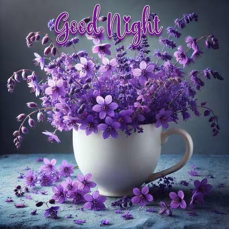Latest good night images