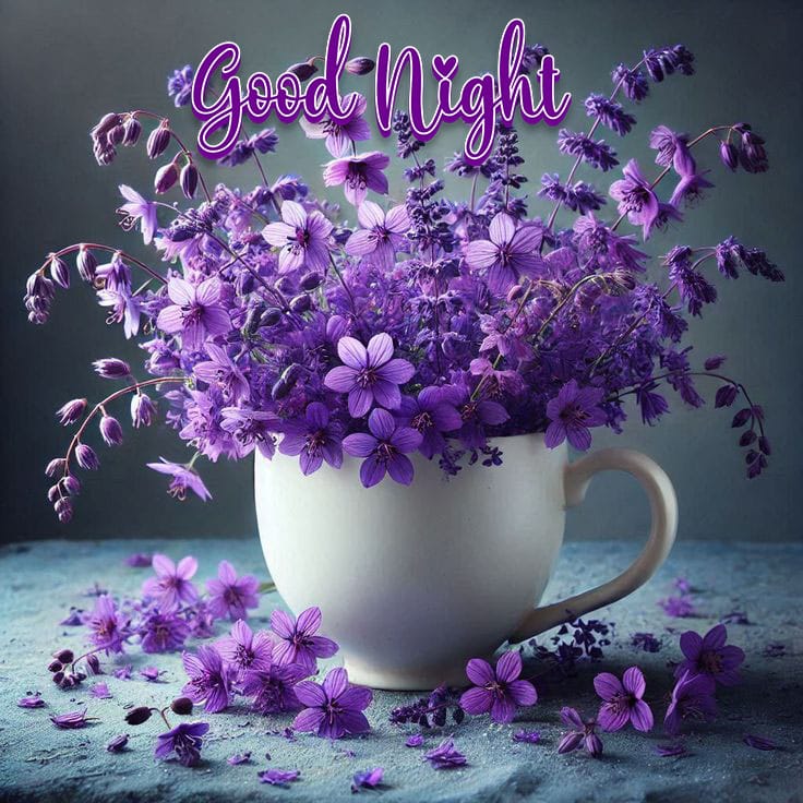 Latest good night images