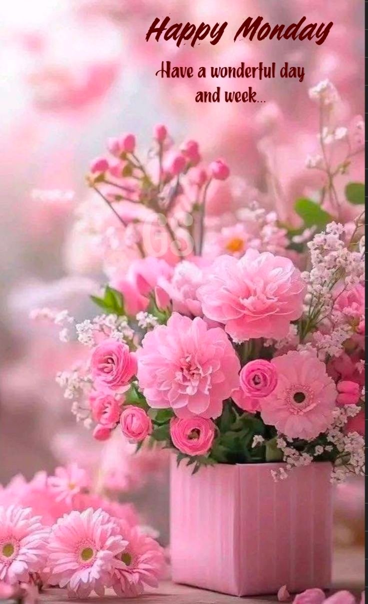 Monday wishes images