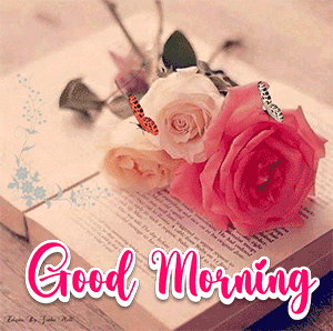 Morning Butterfly Gif