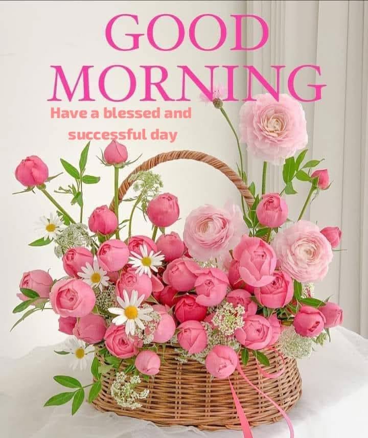 Morning greetings images