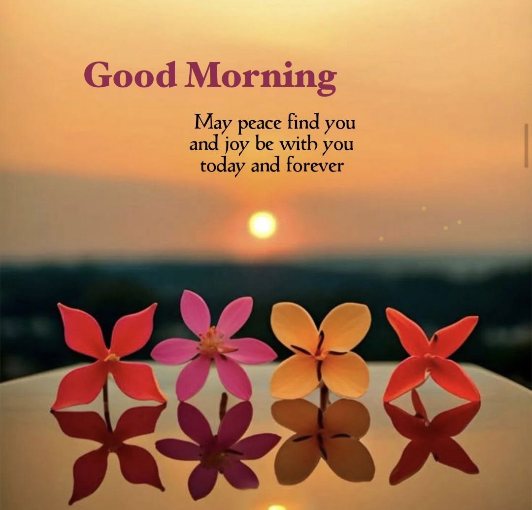 Morning wishes pictures images