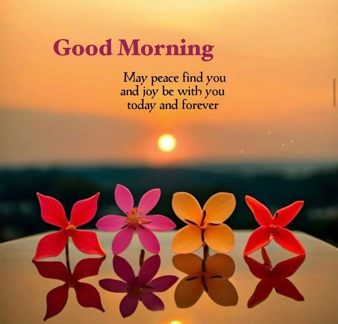 Morning wishes pictures images