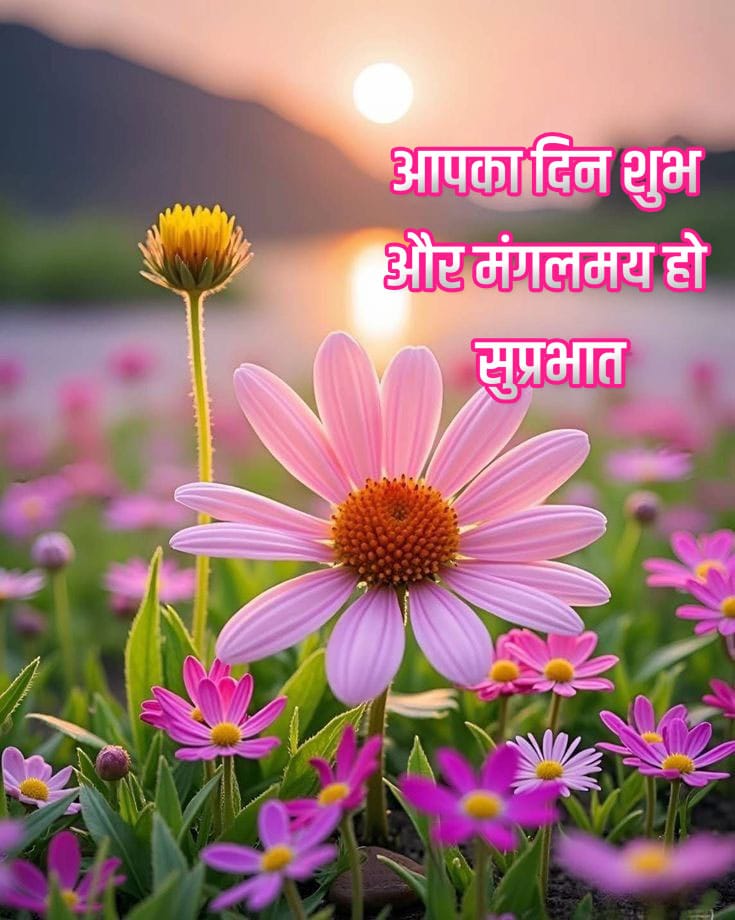 Most beautiful suprabhat with beautiful flowers
