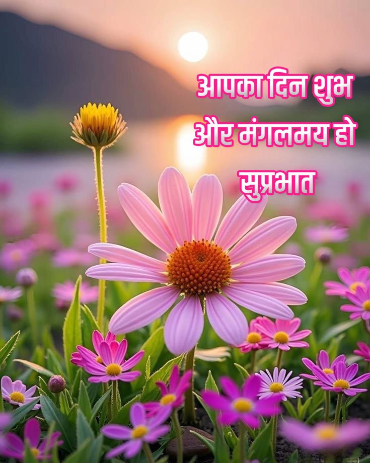 Most beautiful suprabhat with beautiful flowers
