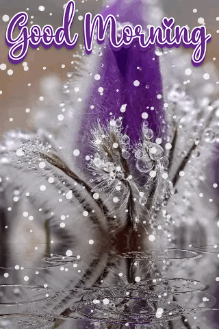 Nature Good Morning Gif For Whatsapp