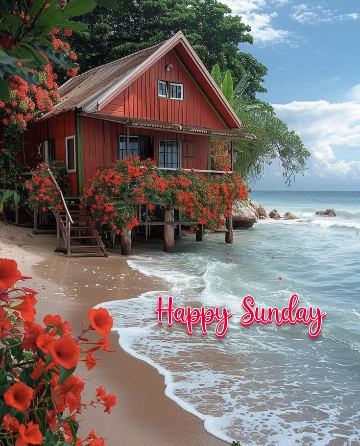 Nature good morning happy sunday