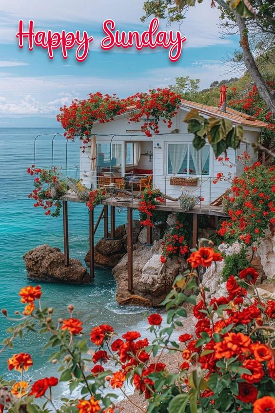 Nature happy sunday
