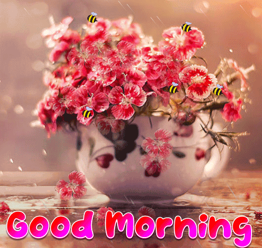 New Animation Good Morning Gif