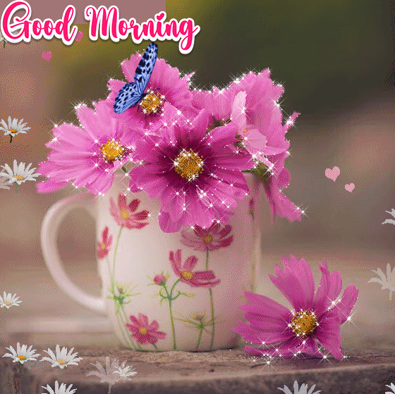New Beautiful Good Morning Gif