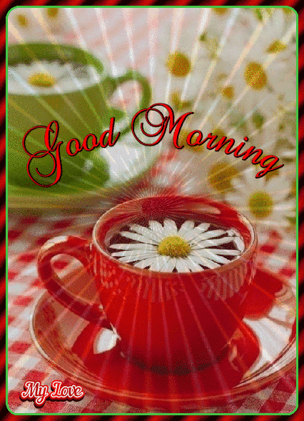 New Good Morning Gif For Whatsapp