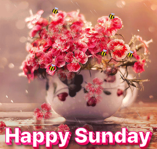 New Good Morning Happy Sunday Gif