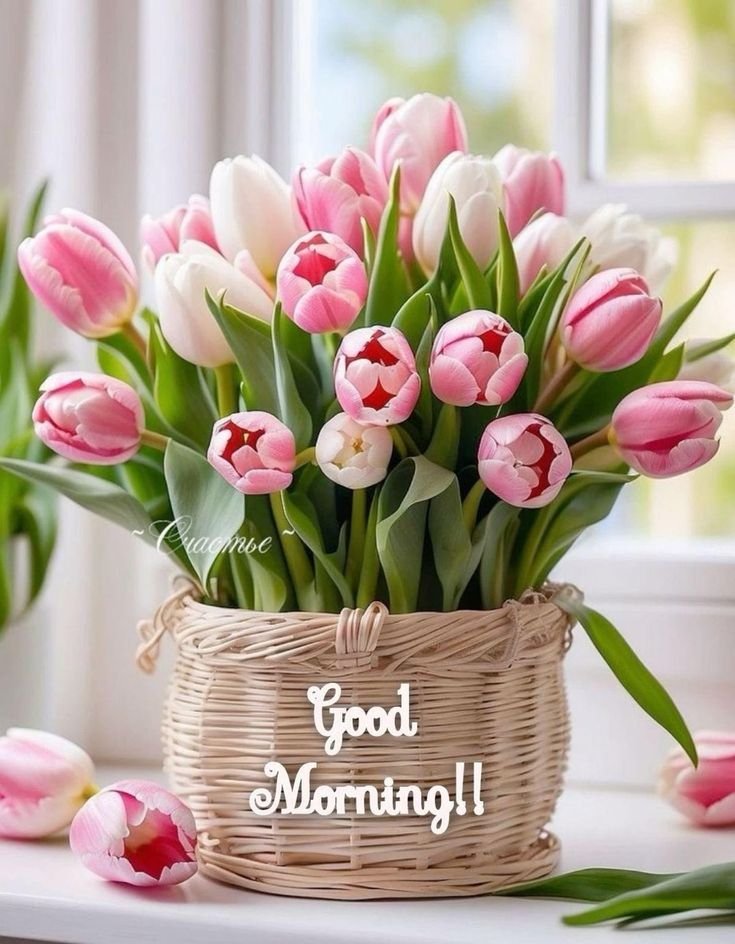 New good morning images