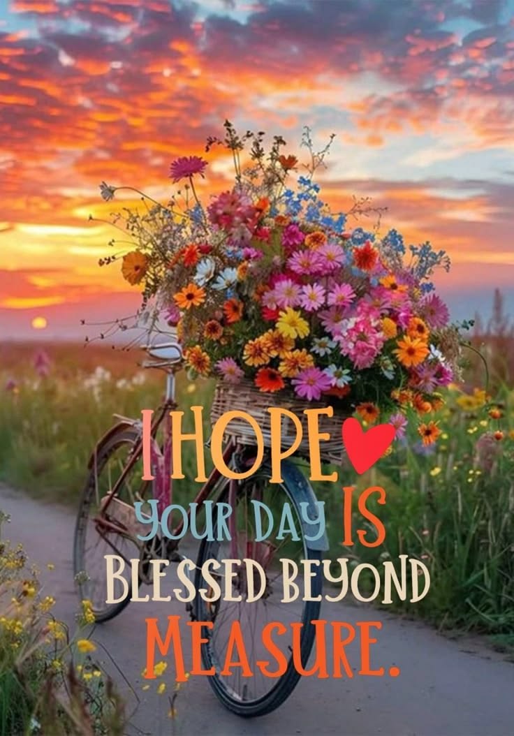New morning wishes pictures images