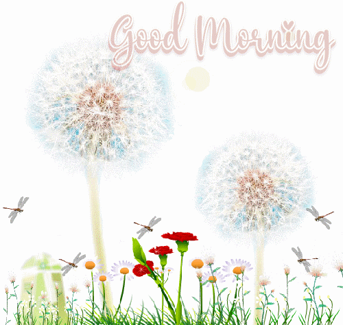 New Nature Good Morning Gif