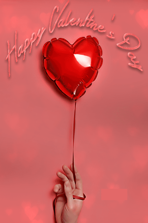 New Valentine's Day Gifs
