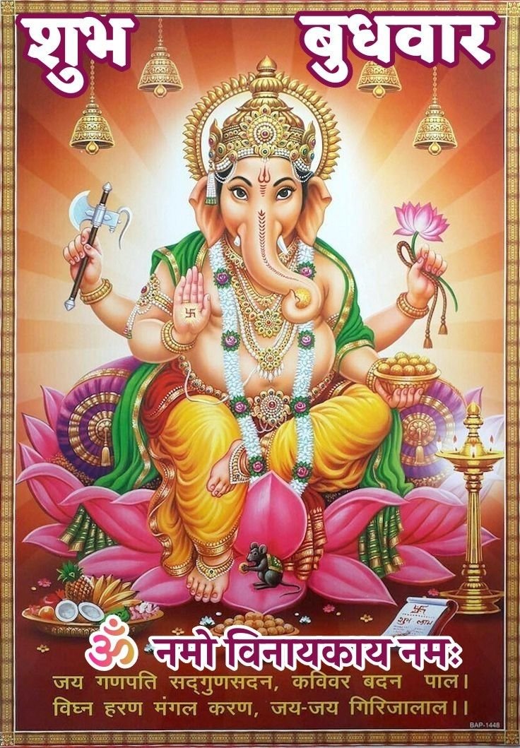 New wednesday good morning wishes status