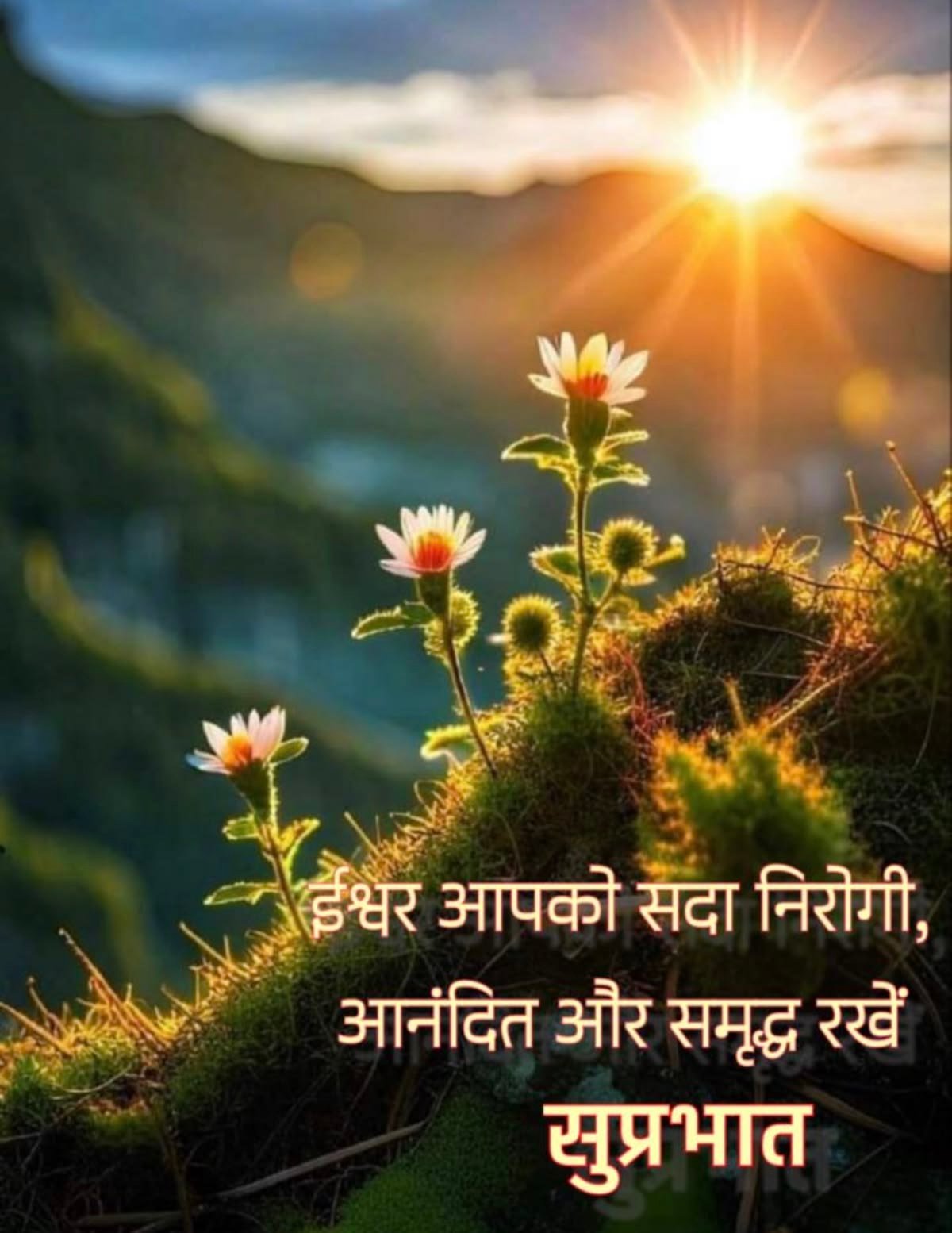 Good morning images with quotes in hindi