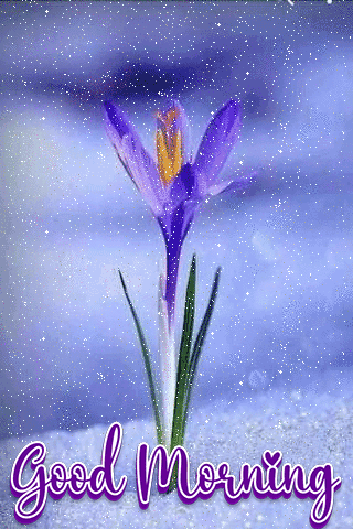 Pretty Nature Gif