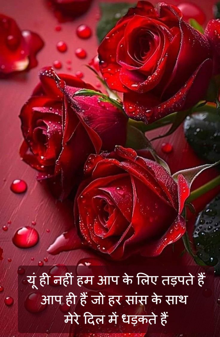 Propose shayari in hindi