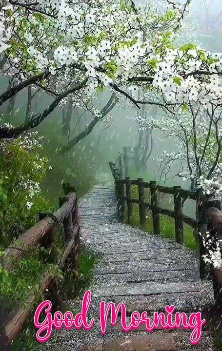 Rainy good morning images 3