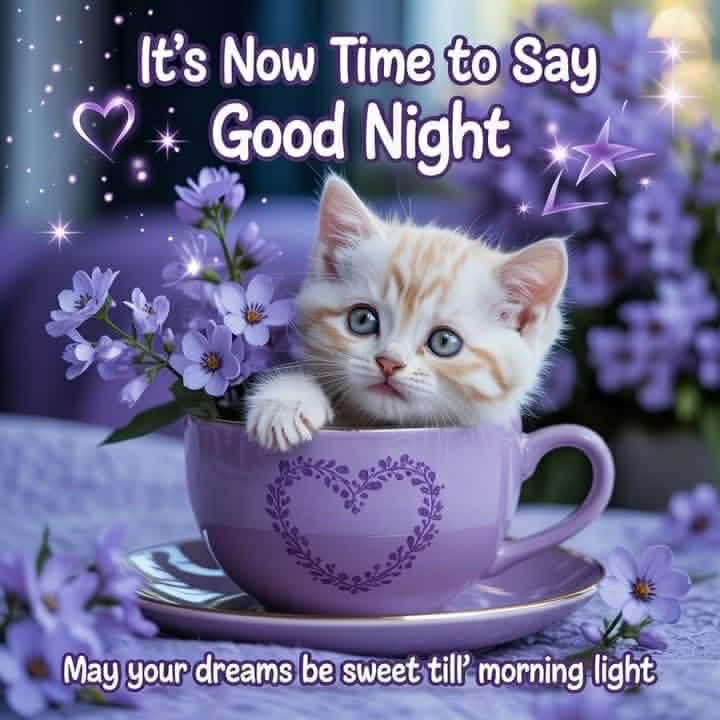 Simple cute cute good night images (1)