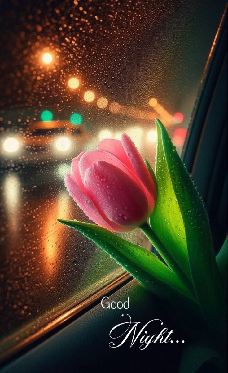 Simple cute cute good night images (15)